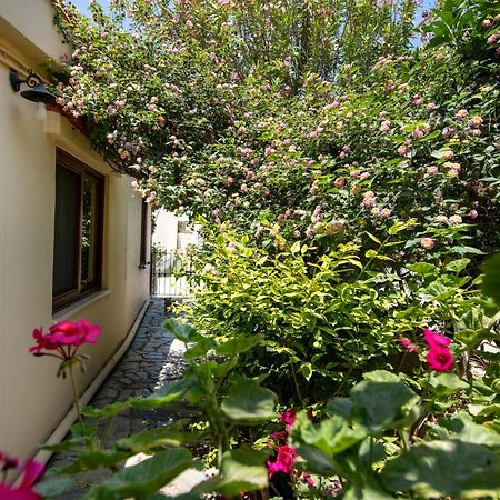 Elisavet'S House Villa Platanias  Exterior photo