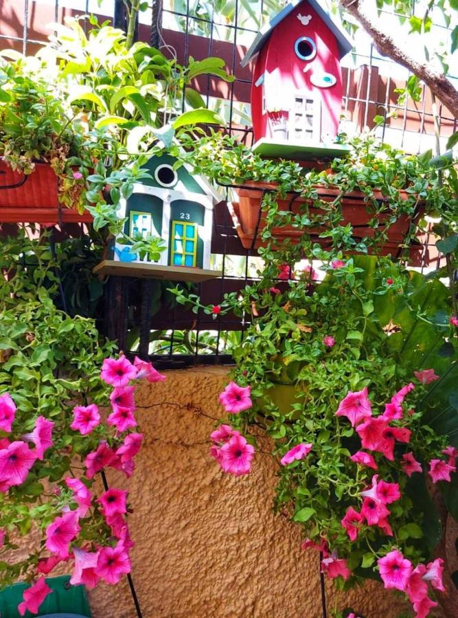 Elisavet'S House Villa Platanias  Exterior photo